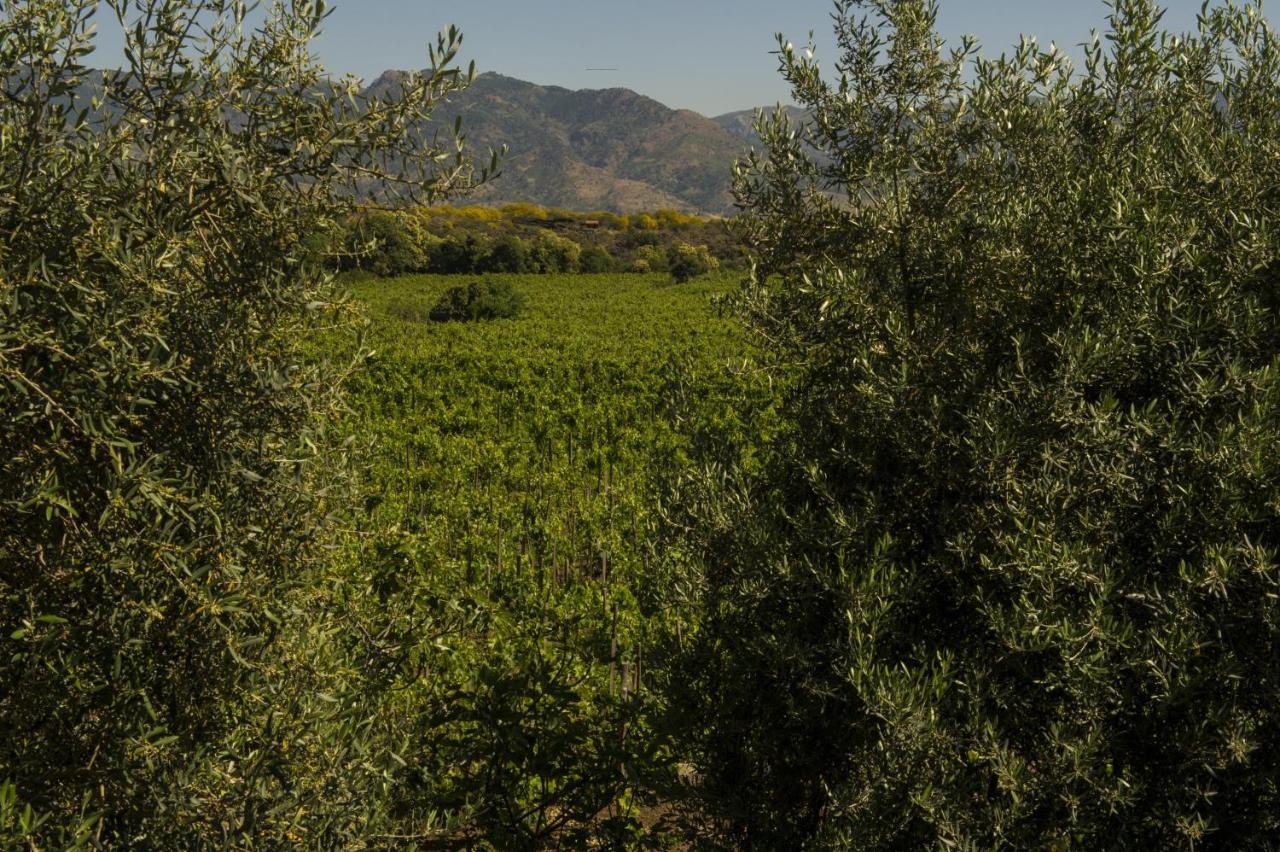 Tenuta Di Fessina Castiglione De Sicilia Exterior foto